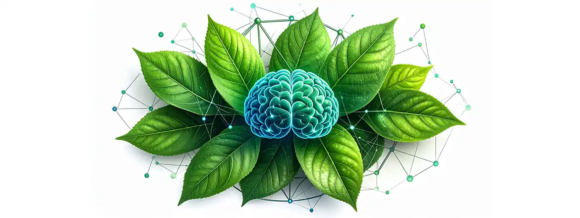 Quali sono gli effetti del consumo di yerba mate? In che modo influisce sulla concentrazione?