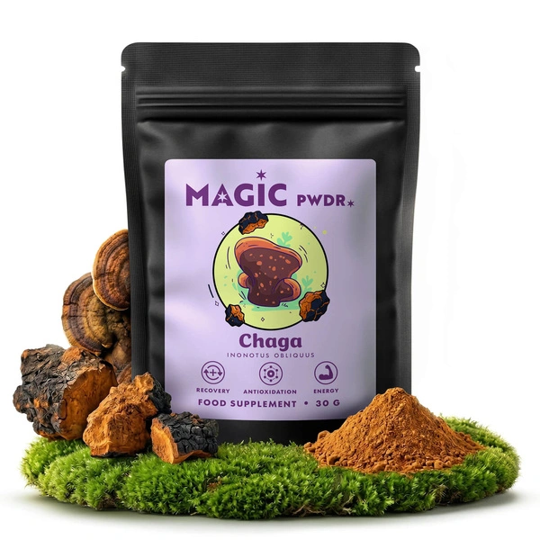 Magic Pwdr chaga supplemento a base di funghi