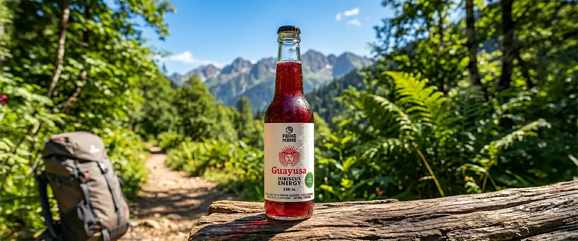 Bevanda naturale alla guayusa lungo un sentiero di montagna – Guayusa Pachamama per i viaggi e le attività all’aria aperta.