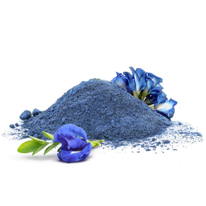 Mary Rose – Blue Matcha Alternative – Butterfly Pea Tea (in polvere) 100 g