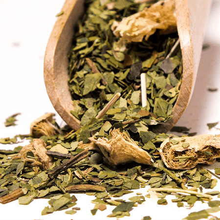Yerbera - Lattina + Verde Mate Cactus de Juarez 0,5 kg