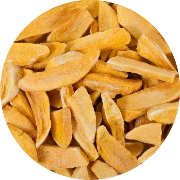 FiloLilo – Mango liofilizzato (fette) 100 g