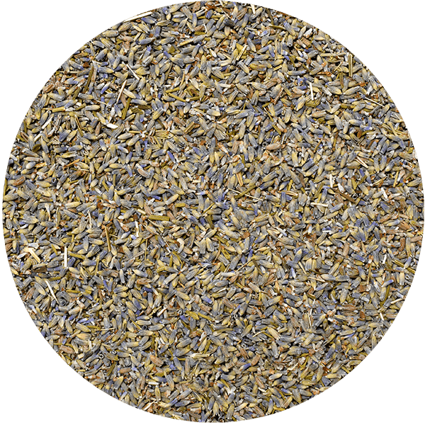 Mary Rose - Lavanda 25 g (biologico)