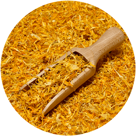 Mary Rose - Fiore di Calendula (petali) 10 g
