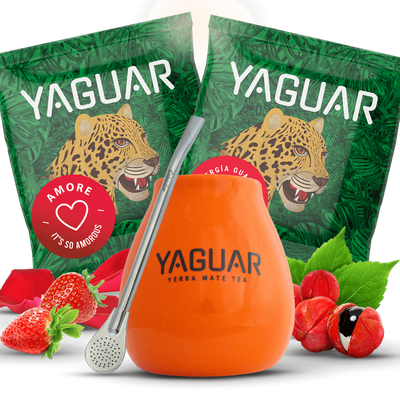 Set Yerba Mateo + Bombilla per cominciare