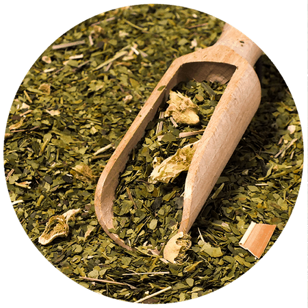 Yerbera - Lattina + Verde Mate Cactus de Juarez 0,5 kg