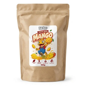 FiloLilo – Mango liofilizzato (fette) 100 g