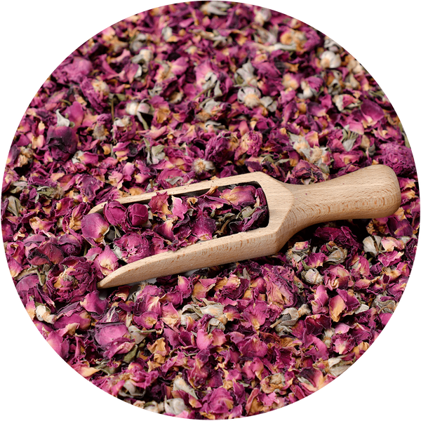 Mary Rose - Rosa rossa 20g