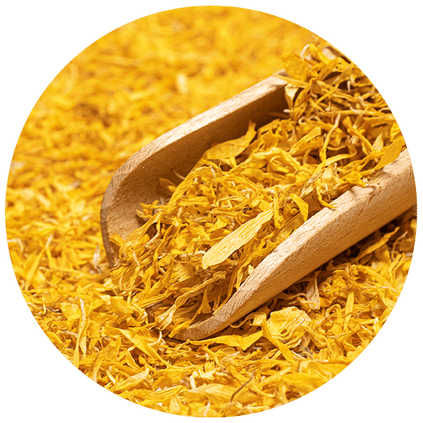 Mary Rose – Calendula 100 g – fiore di calendula (petali)