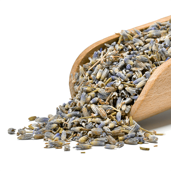 Mary Rose - Lavanda 25 g (biologico)