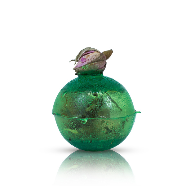 Mary Rose – Sunny Garden bomba da tè (mini)