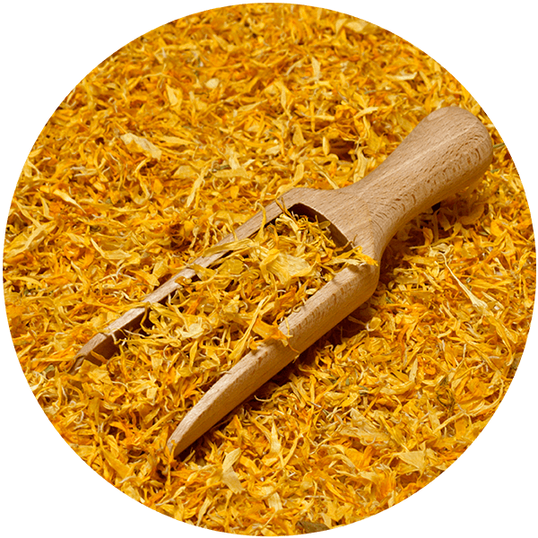 Mary Rose – Calendula 10 g – fiore di calendula (petali)