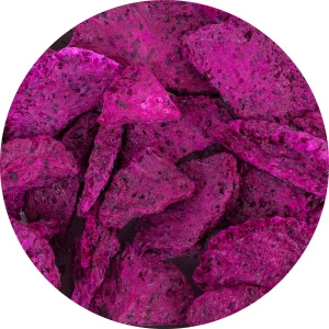 FiloLilo – Frutto del drago liofilizzato (fette) 100 g