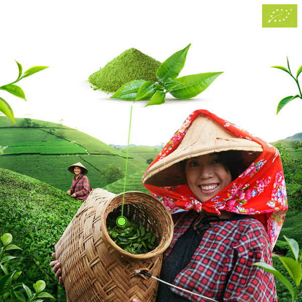 Mary Rose – Tè verde Matcha Tenno giapponese (BIO) Cerimoniale 50 g