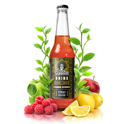 Guarani Drink – Infuso freddo di Yerba Mate – Sabor Citrus 330 ml