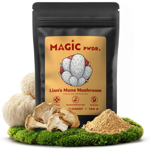Magic Pwdr – Lion’s Mane – Criniera di Leone 100 g