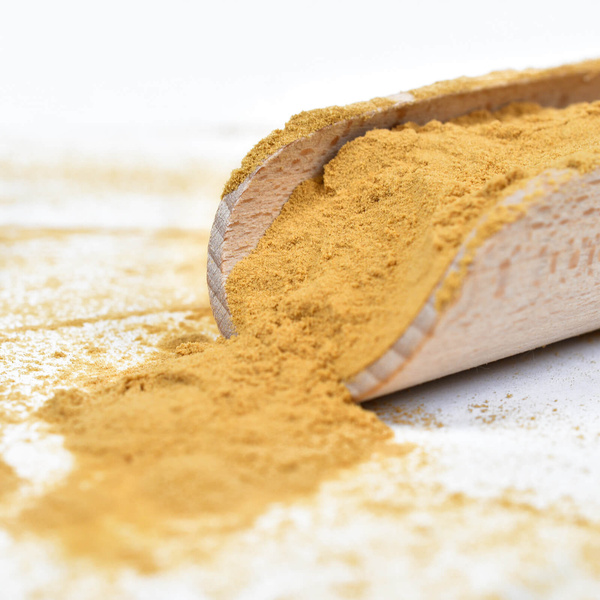 Magic Pwdr – Lion’s Mane – Criniera di Leone 100 g