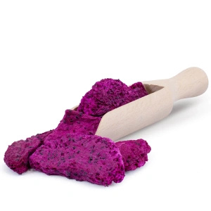 FiloLilo – Frutto del drago liofilizzato (fette) 20 g