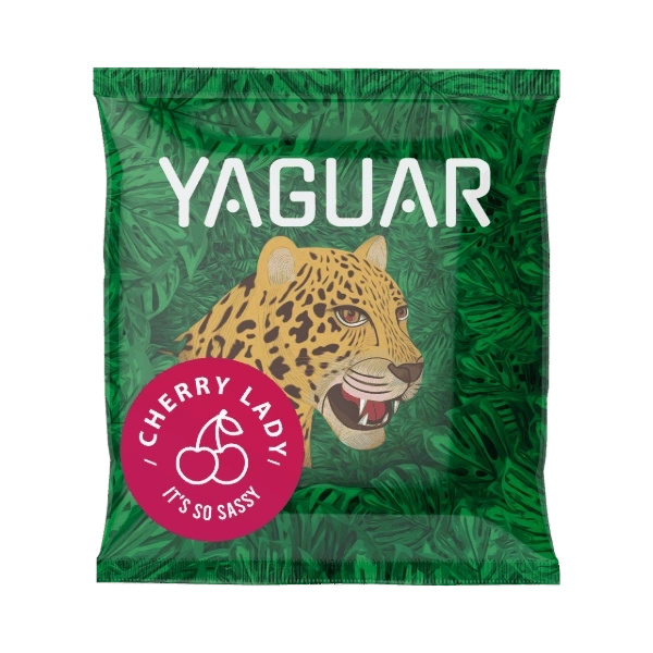 Set di Yerba Mate: campioni Yaguar 10x50g + Tazza di mate + Bombilla