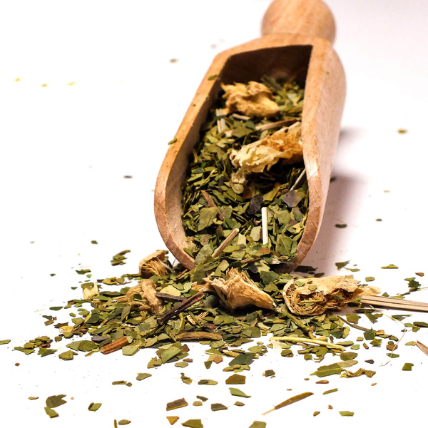 Set regalo di Yerba Mate Verde Mate Cactus 0,5kg