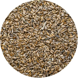 Vivarini – Cardo mariano (semi) 50 g