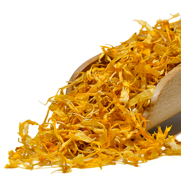 Mary Rose – Calendula 10 g – fiore di calendula (petali)