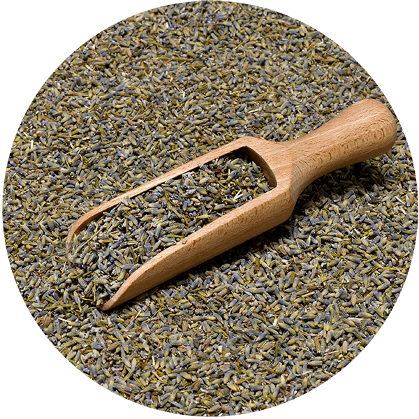 Mary Rose - Lavanda 25 g (biologico)