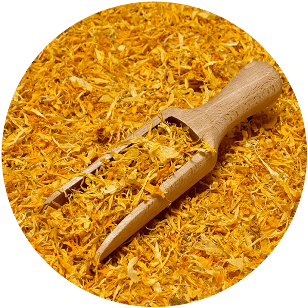 Mary Rose – fiori di calendula essiccati