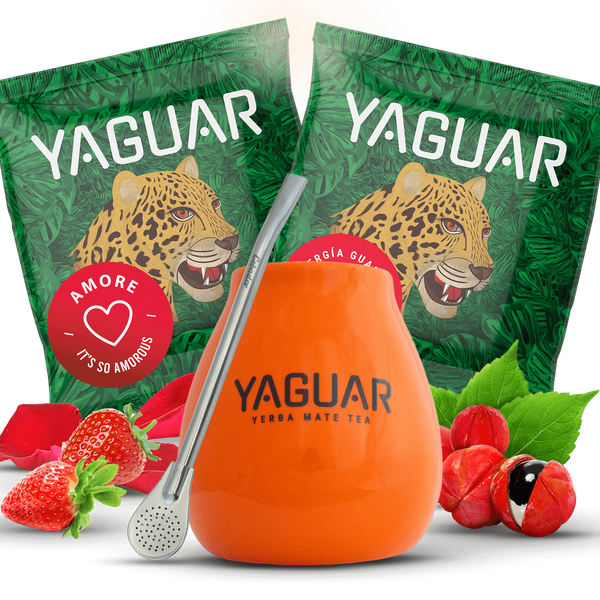 Set Yerba Mateo + Bombilla per cominciare