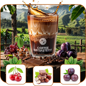 Bro Coffee Roastery - Caffè in grani interi Costa Rica San Rafael Speciality 1kg