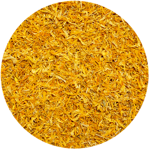 Mary Rose – Calendula 10 g – fiore di calendula (petali)