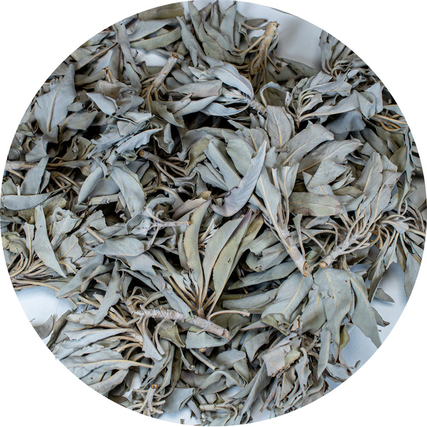 Salvia Bianca – foglie intere 25 g
